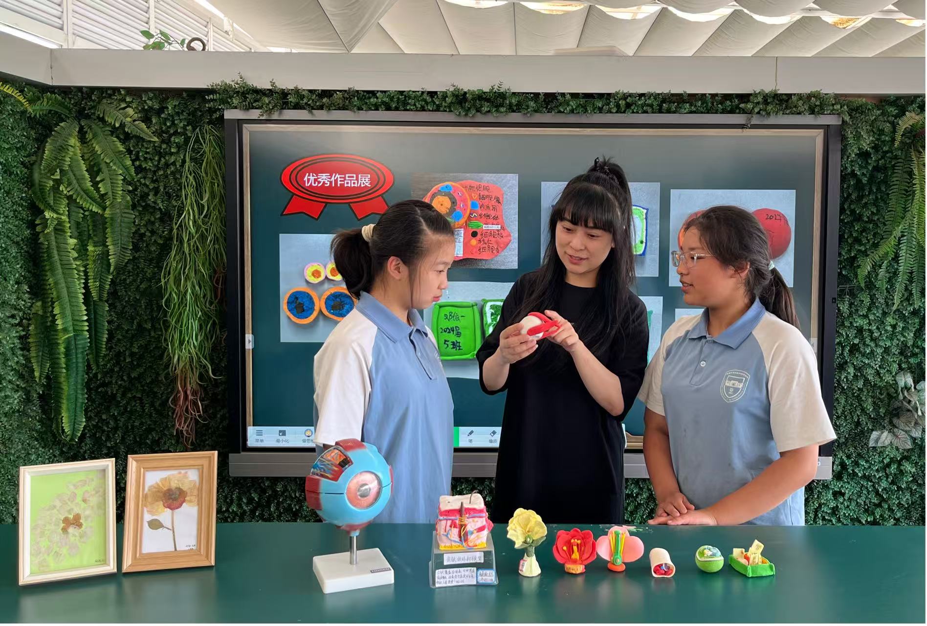 17573016542245817.jpg 17573016542245817.jpg