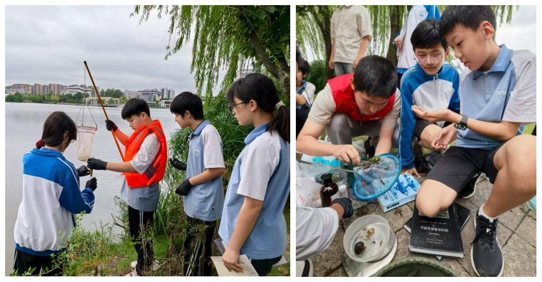 图片2_副本.png 图片2_副本.png