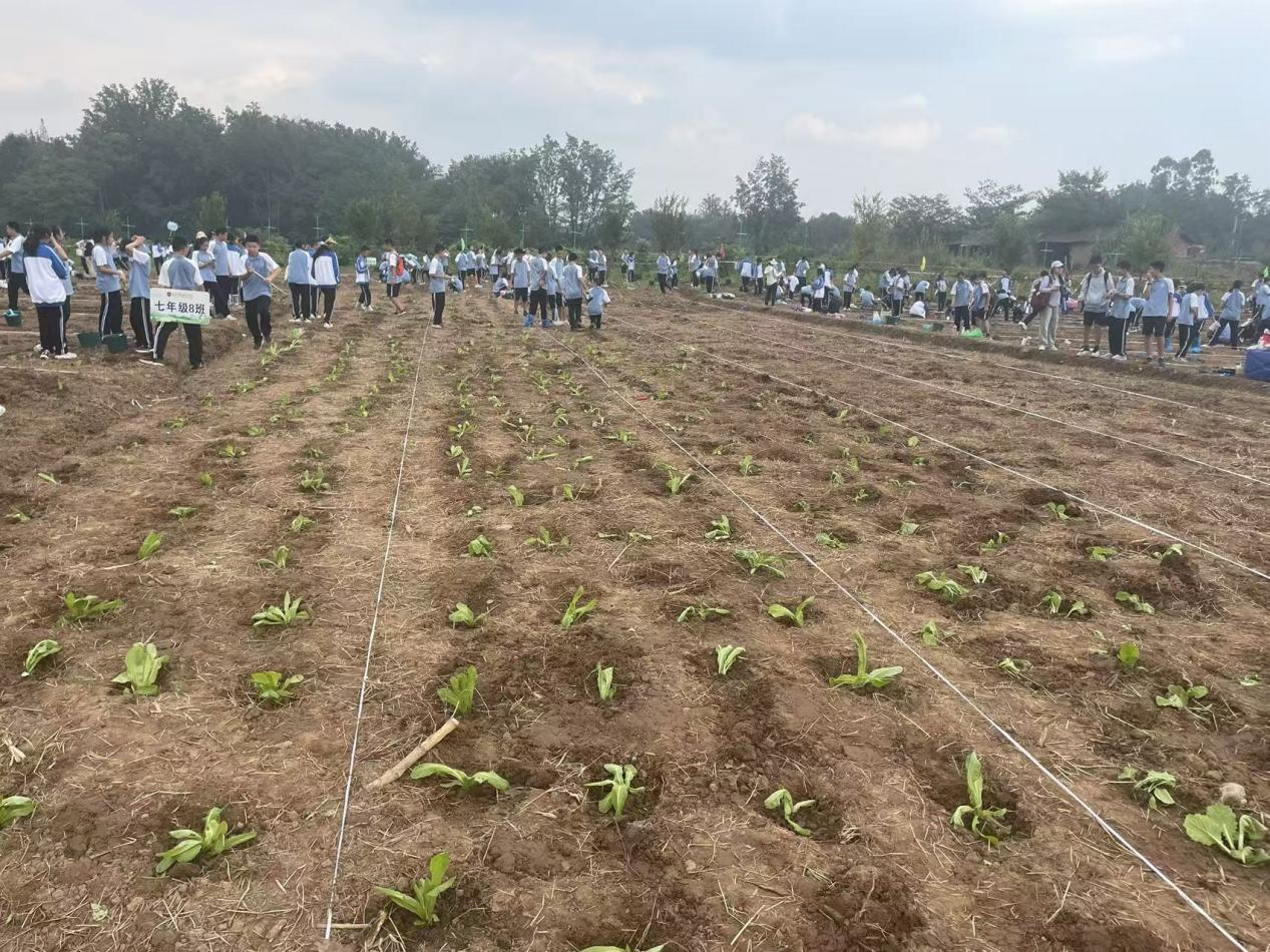 图片 3.png 图片 3.png