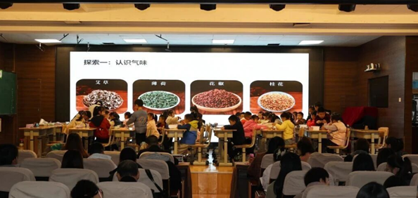 1766453395092.jpg 1766453395092.jpg